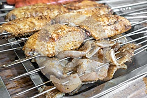 Ã§ââ°Ã¥Â­ÂÃ¤Â¸Å Ã§Å¡âÃ§ÆÂ§Ã§ÆÂ¤A barbecue on the stove photo